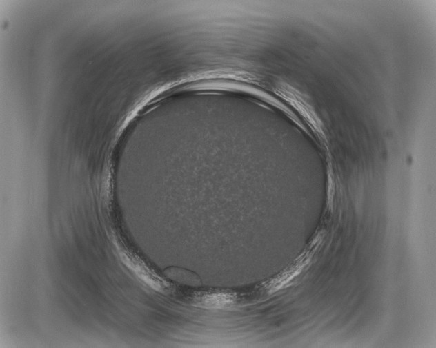 X0000087420156200704201434