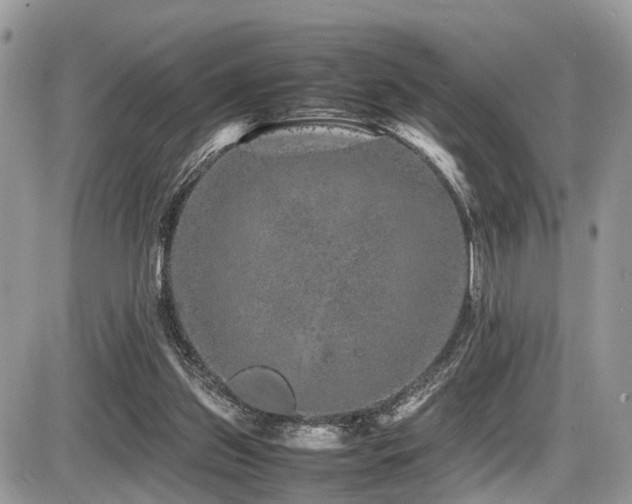 X0000087420157200704201434