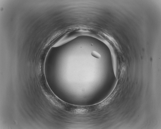 X0000087420158200704201434