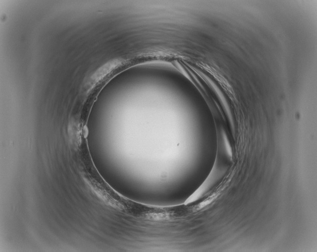 X0000087420160200704201434