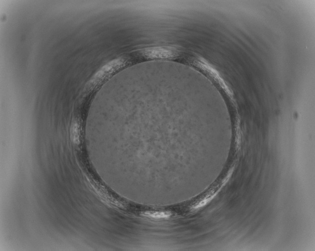 X0000087420161200704201434