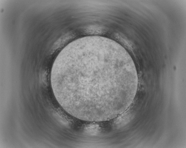 X0000087420162200704201434