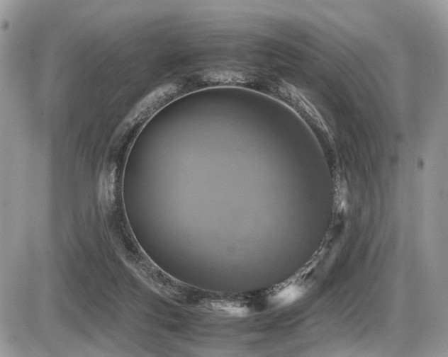 X0000087420163200704201434