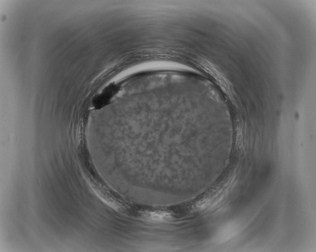 X0000087420165200704201435