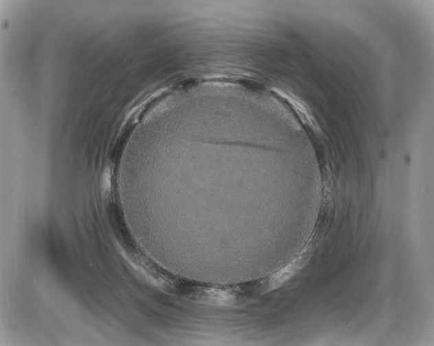 X0000087420166200704201435