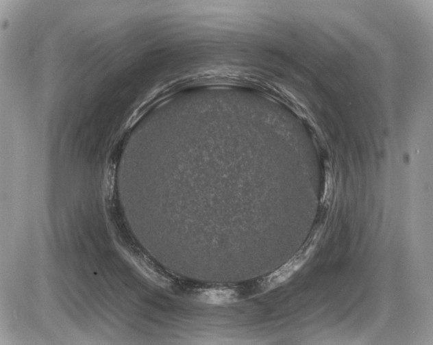 X0000087420168200704201435