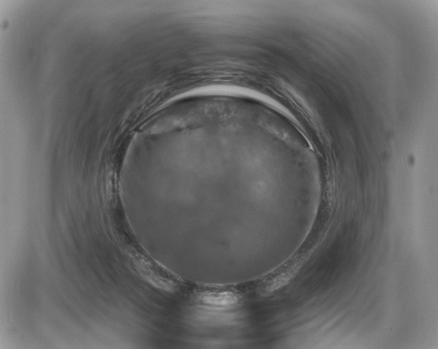 X0000087420169200704201435