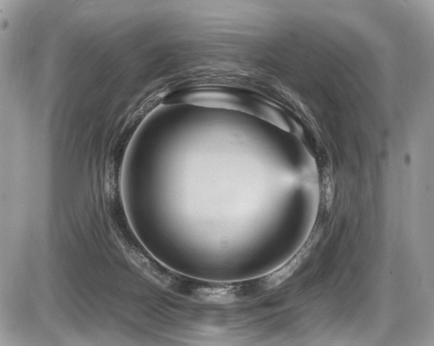 X0000087420170200704201435