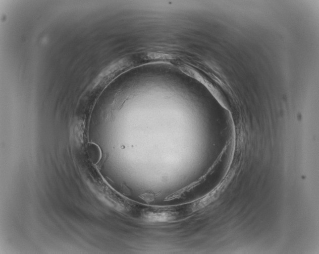 X0000087420171200704201435