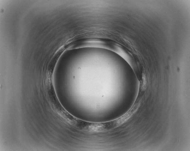 X0000087420172200704201435