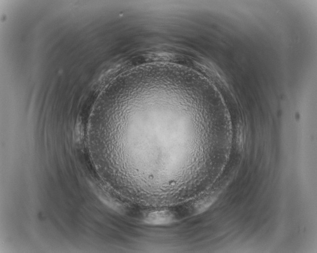 X0000087420173200704201435