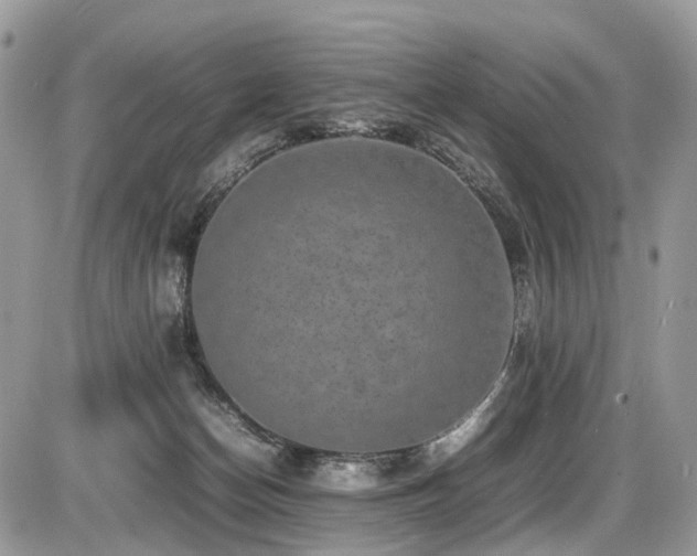 X0000087420174200704201435