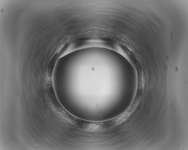 X0000087420176200704201435