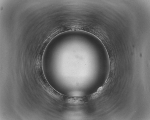 X0000087420179200704201435