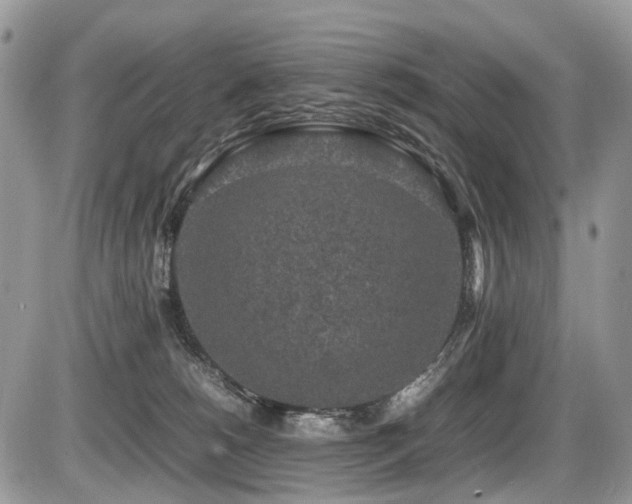 X0000087420180200704201435