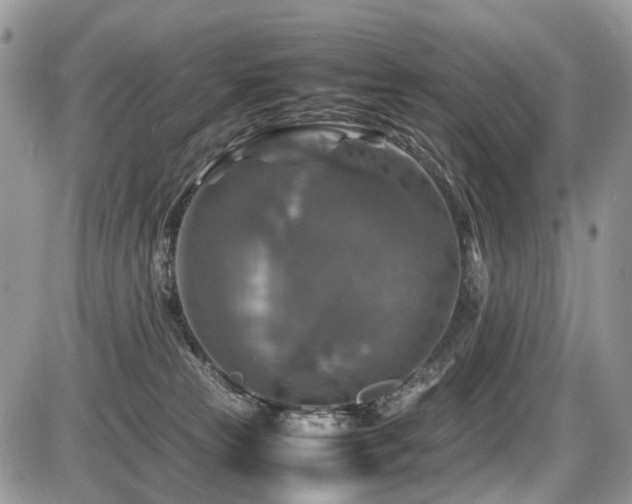 X0000087420181200704201435