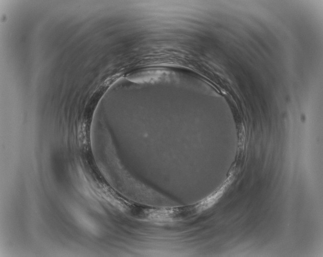 X0000087420182200704201435