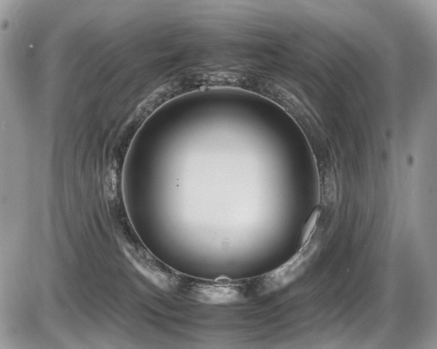 X0000087420183200704201435