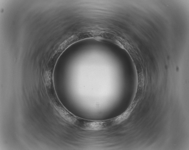 X0000087420184200704201435