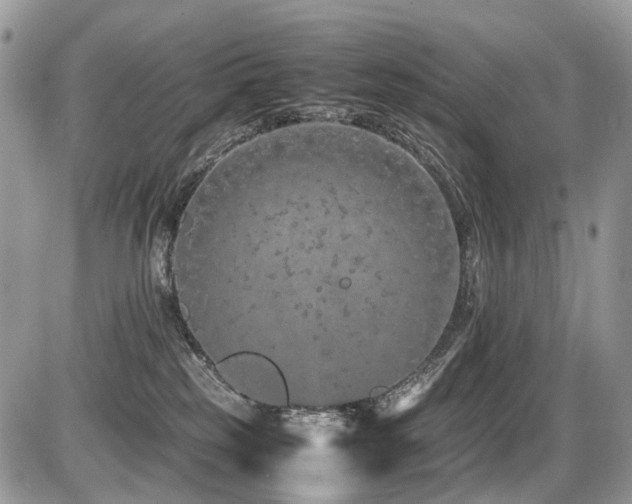 X0000087420185200704201435