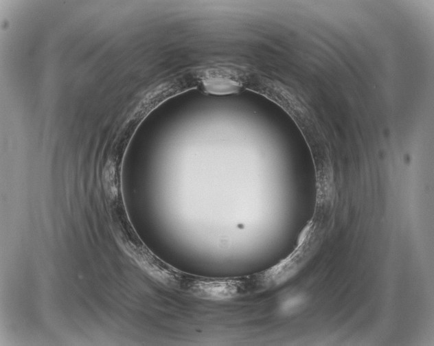 X0000087420187200704201435