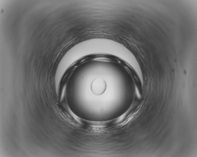 X0000087420188200704201435