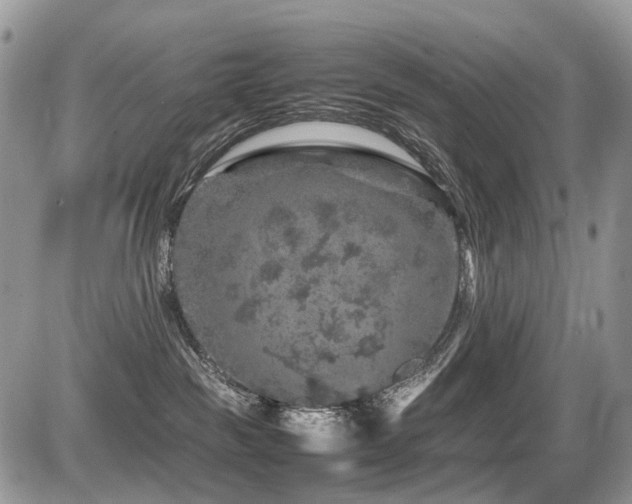 X0000087420189200704201435