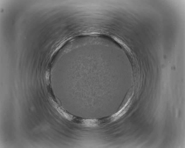 X0000087420192200704201435