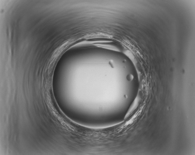 X0000087420193200704201434