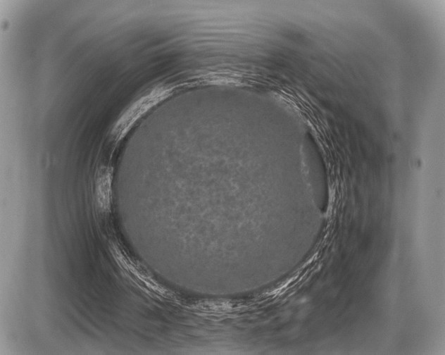 X0000087420194200704201434