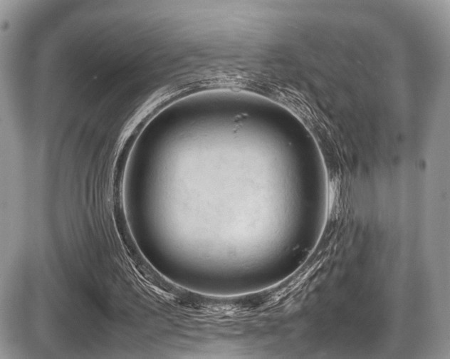 X0000087420195200704201434