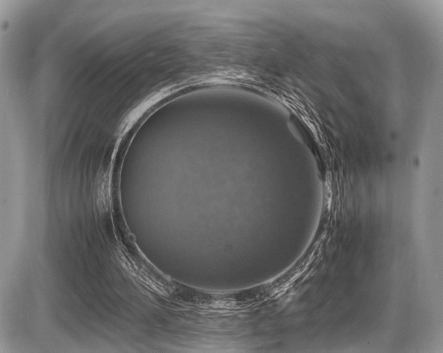 X0000087420196200704201434