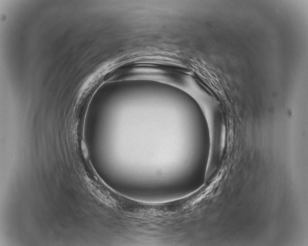 X0000087420197200704201434