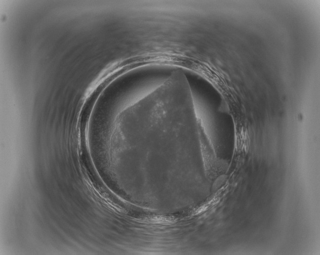 X0000087420198200704201434