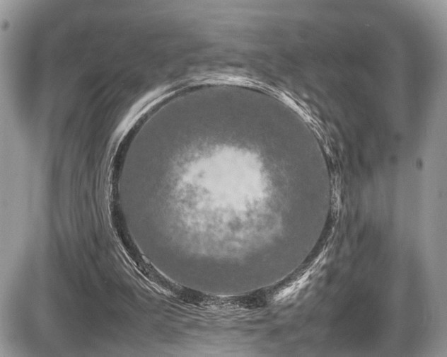 X0000087420199200704201434