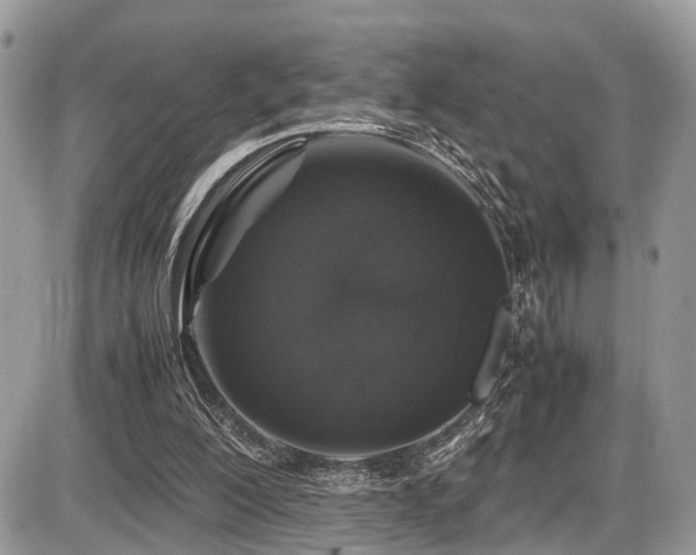 X0000087420200200704201434