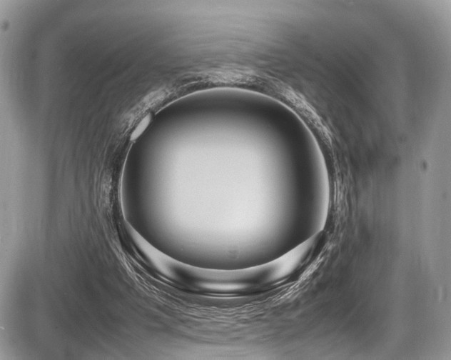 X0000087420201200704201434