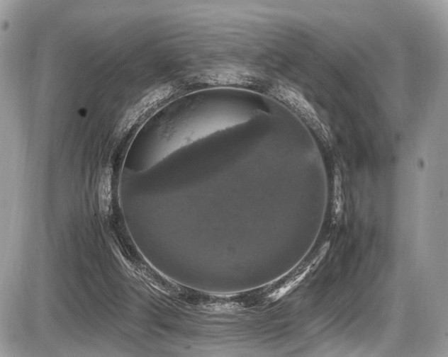 X0000087420202200704201434