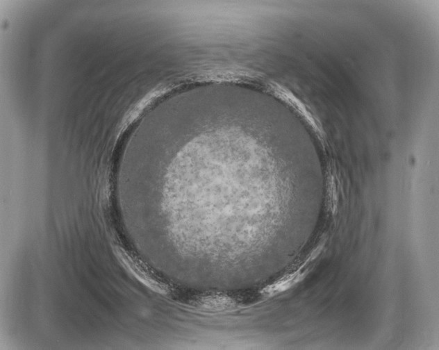 X0000087420203200704201434