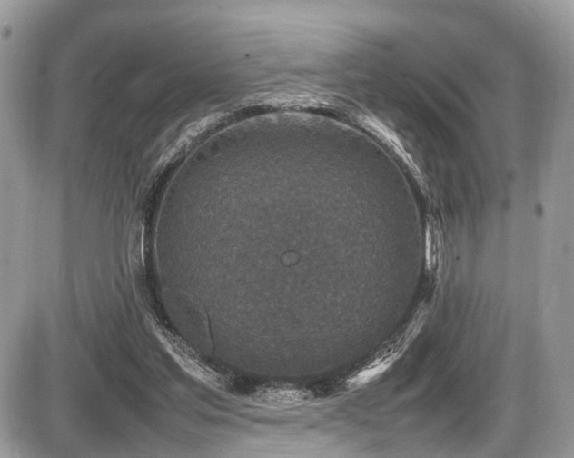 X0000087420205200704201434