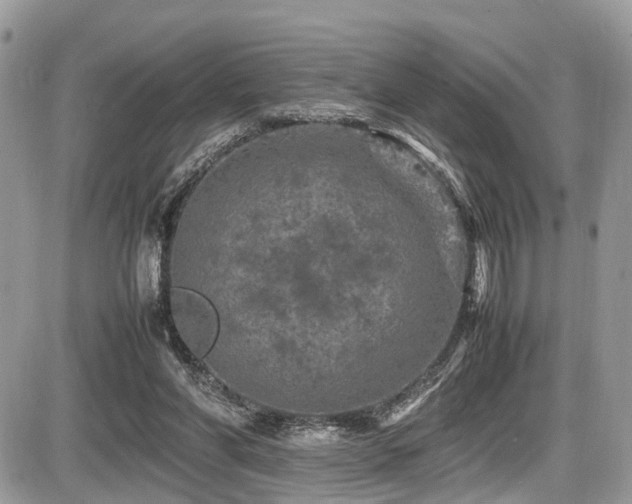 X0000087420206200704201434