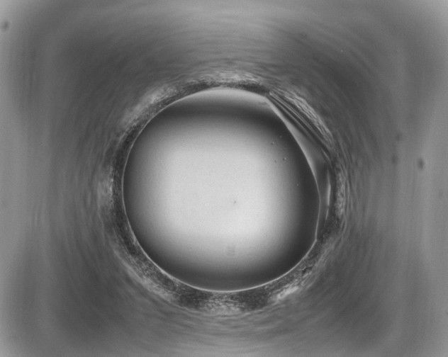 X0000087420207200704201434