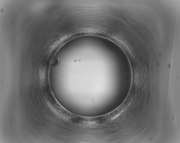 X0000087420208200704201434