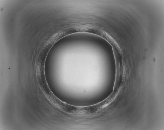 X0000087420209200704201434