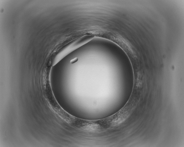 X0000087420210200704201434