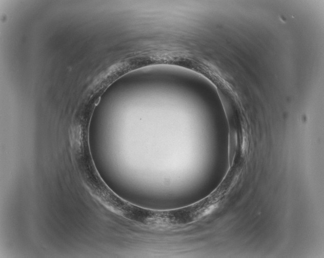 X0000087420211200704201434