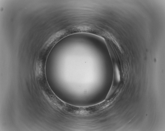 X0000087420212200704201434