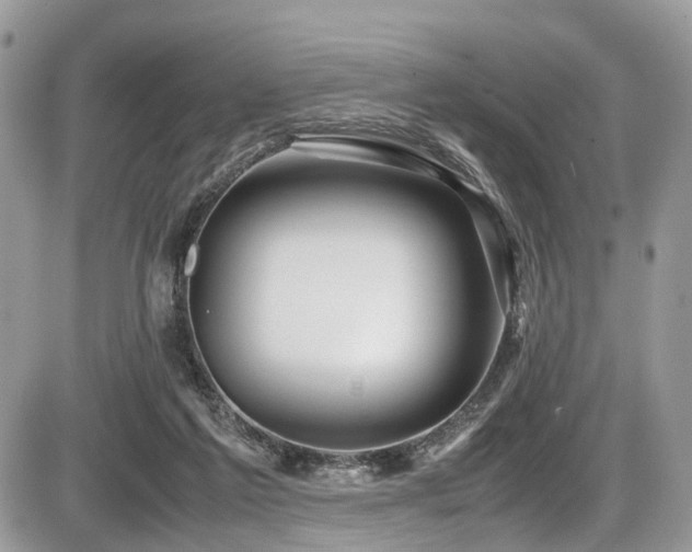 X0000087420213200704201434