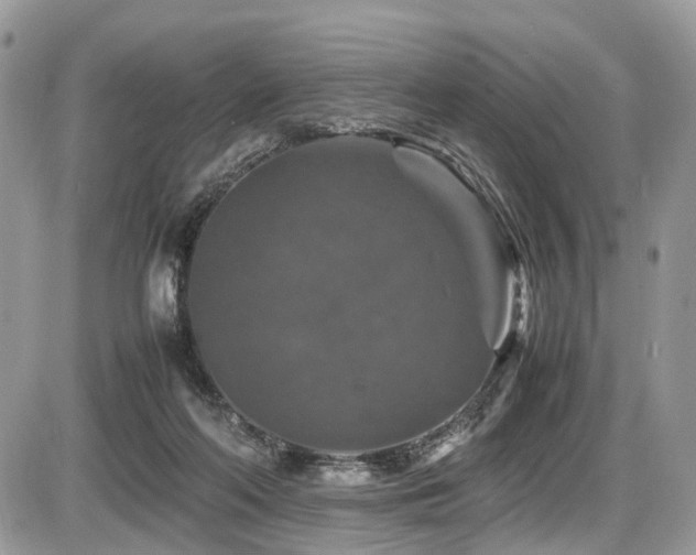 X0000087420214200704201434