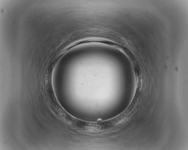 X0000087420215200704201434